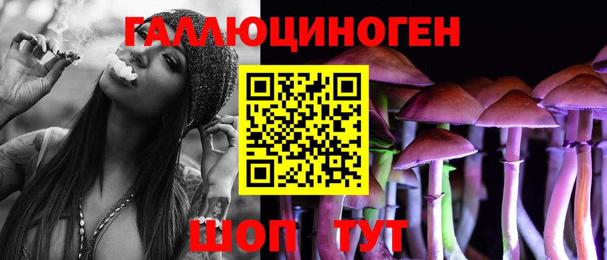 Галлюциногенные грибы Psilocybe  Вход с VPN  Курчалой 