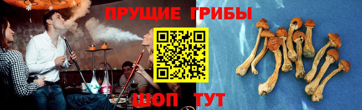 Галлюциногенные грибы GOLDEN TEACHER Курчалой